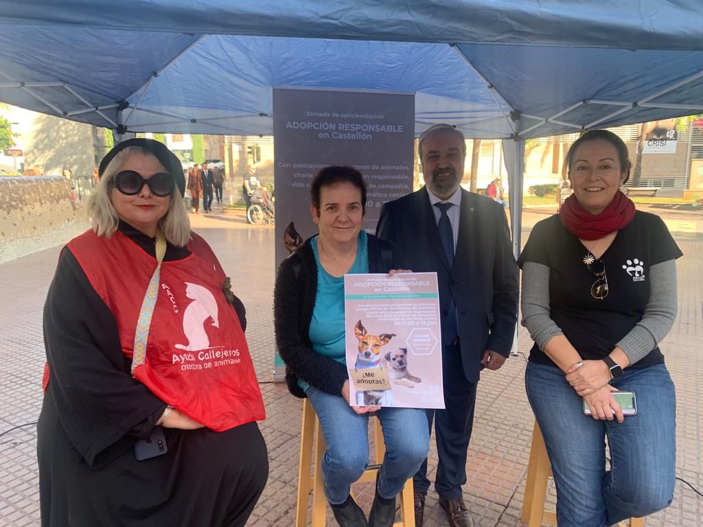 Castelló celebra la I Jornada d'Adopció Responsable de Mascotes